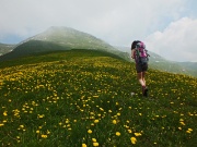 33 e via , in direttissima per gialli pratoni verso Cima Vindiolo...